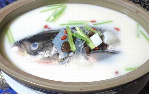 魚頭豆腐湯的營養價值與4種家常做法