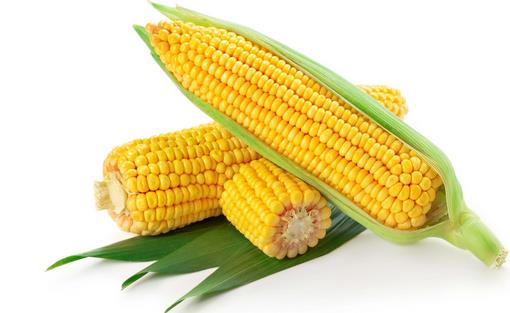 冬季養胃吃啥好?9種護胃食物推薦