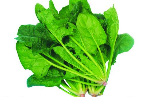 女性貧血食療補血推薦 兩款經典食譜與益血食材