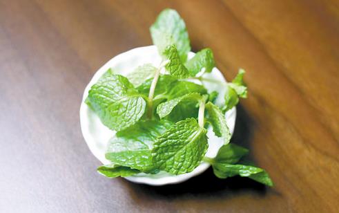 營養豐富的薄荷介紹4款薄荷食療藥膳方