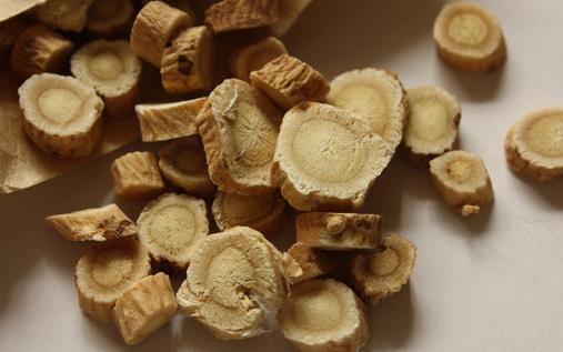 冬季進補必看:10款優質藥膳推薦與功效做法