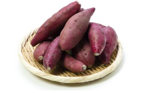 冬季進補必看:9種勝過補藥的食物與紅薯的養生妙用