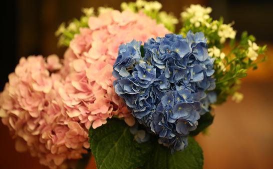 女人怕冷怎麼調節?推薦4款溫補食譜