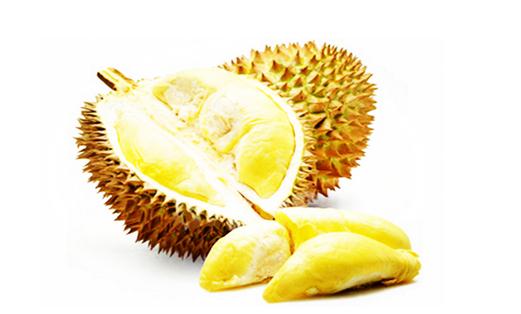 如何挑選新鮮榴蓮?實用指南幫你選對果實