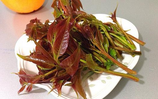 如何挑选香椿芽与健康食用指南