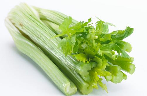 芹菜选购妙招：看外表、菜葉、掐茎辨種類