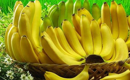 如何分辨香蕉与芭蕉:外形、口感與營養差異