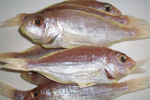 什麼是冰鮮食品？如何區分冰鮮魚和冰凍魚