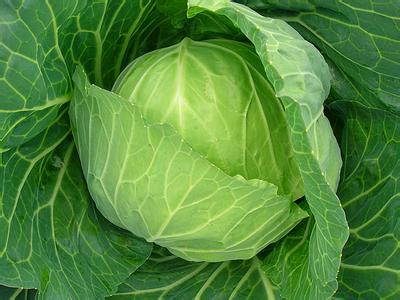 新鮮蔬菜這樣挑:購買與保存實用指南