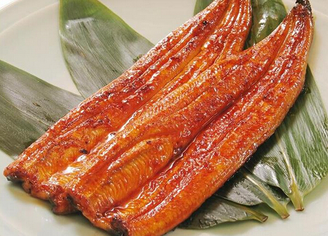 鳗魚多少錢一斤？2014年市場價格與挑選指南