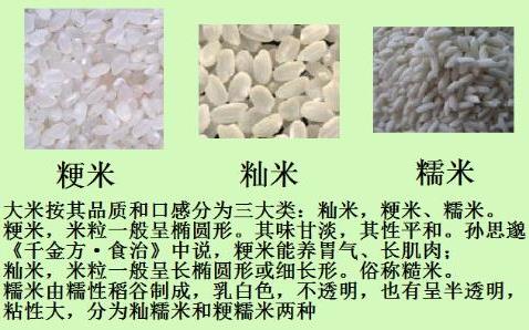 如何辨別糯米中摻有大米?糯米與大米的差異