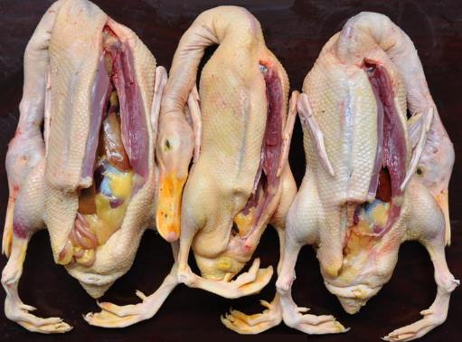 如何鑒別鴨肉是否鮮嫩?鑒別鴨肉老嫩的技巧