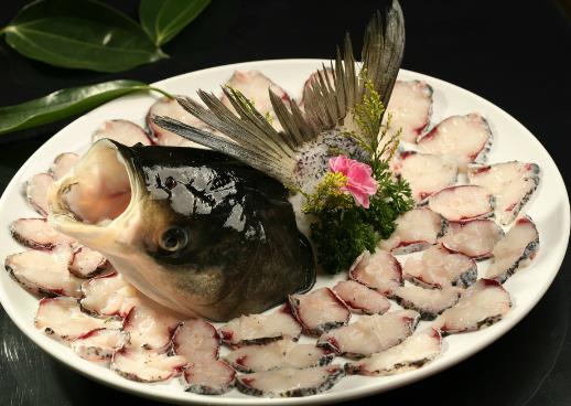 如何辨別常見淡水魚？常見淡水魚鑒別指南