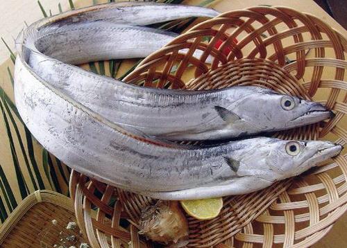 如何挑選帶魚?帶魚品質辨別與生甋方式解析