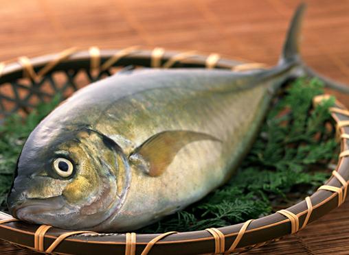 如何挑選新鮮魚？實用挑選新鮮魚的方法指南