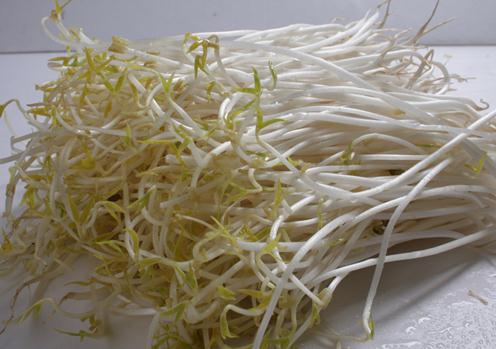 如何挑選優質豆芽？豆芽挑選與自發指南