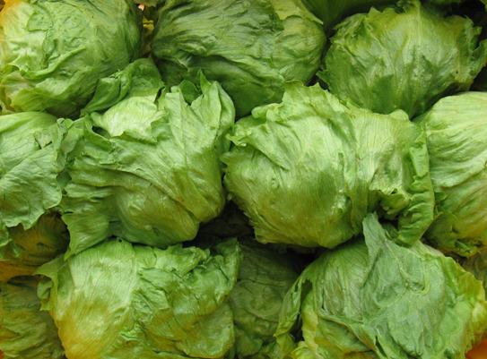 如何挑選新鮮生菜？生菜挑選與食用指南