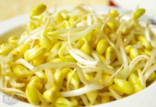家庭如何发黄豆芽|安全种法与营养解析
