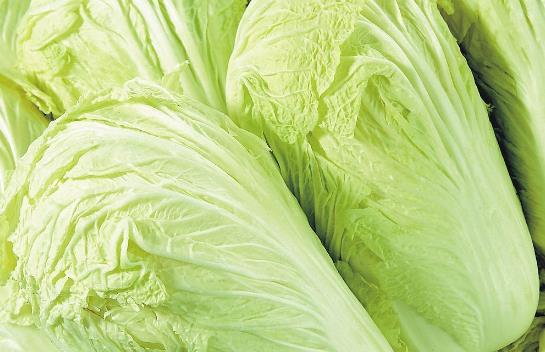 冬季如何储存大白菜?大白菜储存方法