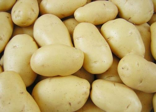 存放土豆不宜用塑料袋,正確保存方法教您避坑