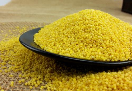 小米保存妙招：正確儲存與食用注意事項