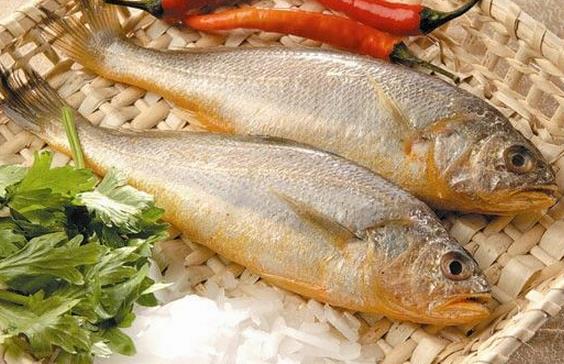 如何辨別染色黃魚?染鮑黃魚的方法與危害
