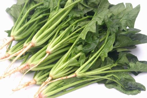 如何挑選新鮮菠菜？菠菜選購與食用指南