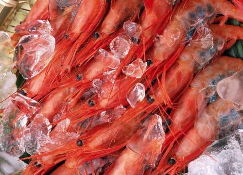 如何選購冷凍食品?食品冷凍別超過兩個月