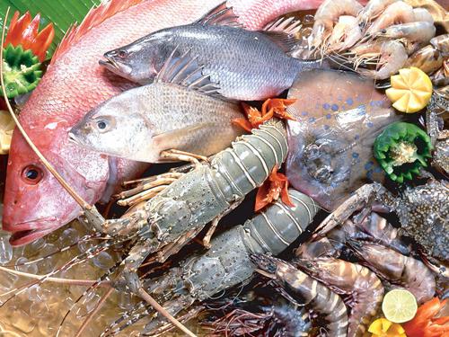 如何挑選新鮮海鮮?魚蝦蟹選購指南
