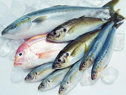 如何區別冰鮮魚與速凍魚?海鮮干品質量鑒別指南