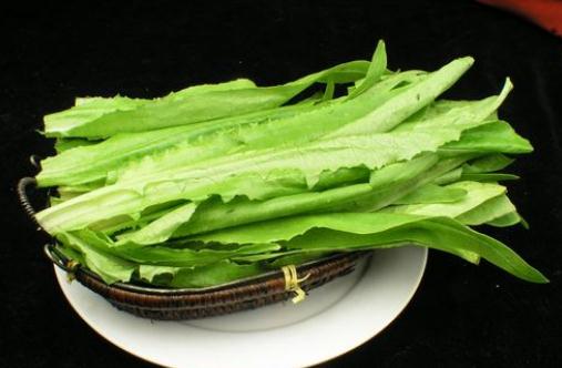 油麥菜與莴筍營養對比：兩者差異大PK