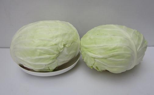 包菜營養價值知多少