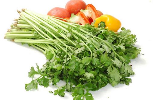 芹菜葉營養勝過莖？解析其降血壓與抗癌功效
