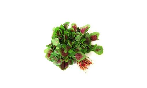 米苋菜的功效與營養價值解析