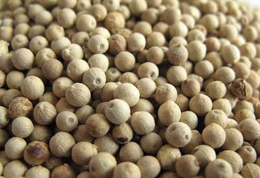 黑白胡椒營養價值與區別:為什麼它們看起來不同?