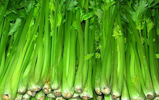 芹菜的多種功效與食用指南