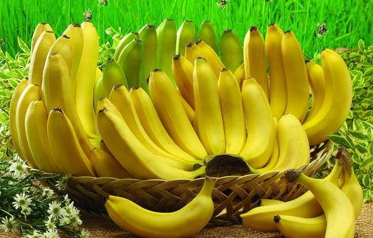 香蕉營養價值與保存教學：如何讓香蕉不易變黑？