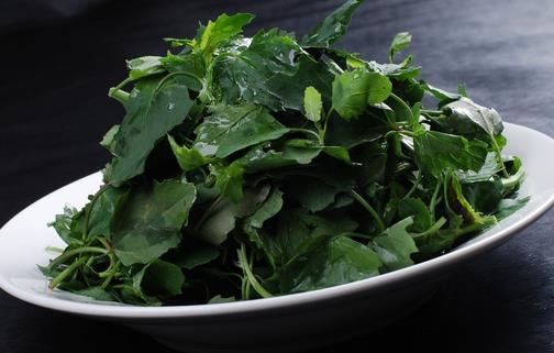 灰灰菜的功效與作用:營養價值、保健功效及副作用注意