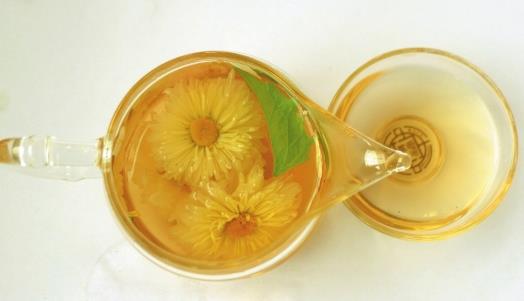 春天喝菊花茶的功效与益处