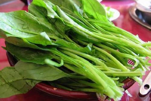 菠菜营养功效与食用注意事项