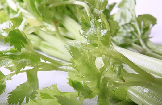 芹菜種類與功效:哪種芹菜最好?