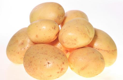 土豆能調理虛弱體質 正氣蒸著吃最佳