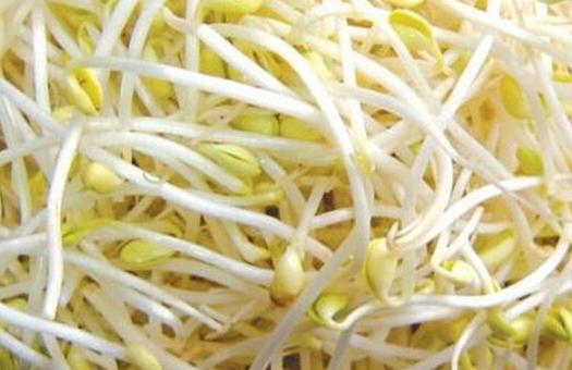 常吃豆芽菜幫你治療四種常見病