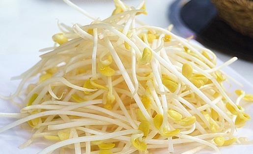 春季多吃黃豆芽｜黃豆芽的功效與作用營養價值大公開