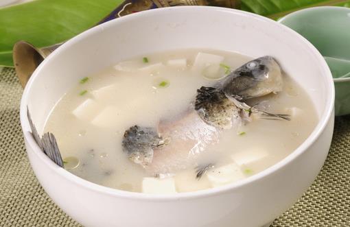 冬季吃鲫鱼正当時 營養價值與食療功效全解析
