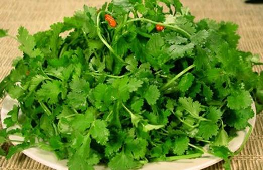 吃香菜的好处与功效:冬季消食治感冒