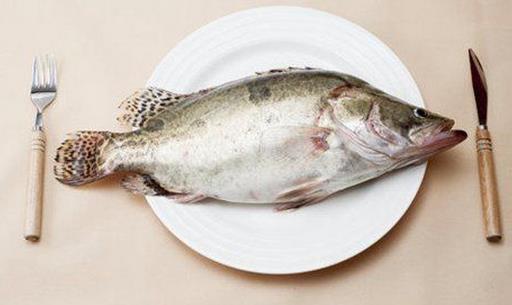 教你選到肉質鮮嫩好魚的5大要點