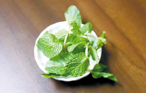 薄荷清新 迷迭芳香：葉子香料的美味與功效