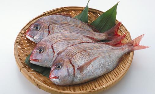 魚類的5大健康功效與科學根據