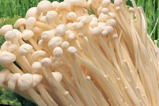 盤點金針菇的五大功效與作用
